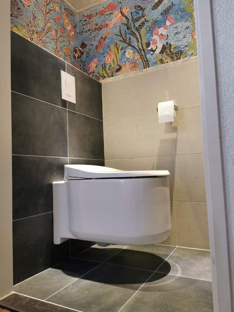 Grohe Sensia Arena Douchewc Frissebips